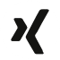 Xing Icon